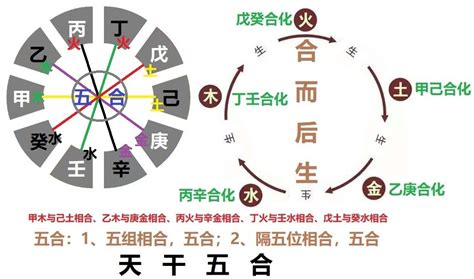 地支合冲|六爻基础：天干地支的相生、相克、相合、相会、六冲。